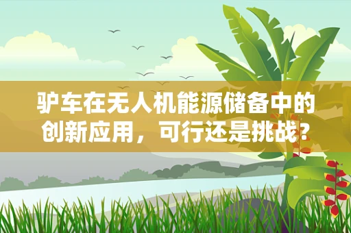 驴车在无人机能源储备中的创新应用，可行还是挑战？