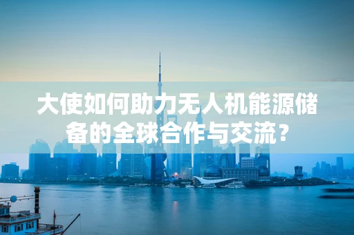 大使如何助力无人机能源储备的全球合作与交流？