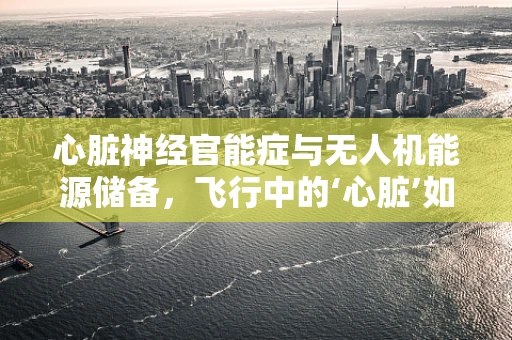 心脏神经官能症与无人机能源储备，飞行中的‘心脏’如何应对？