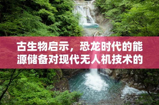 古生物启示，恐龙时代的能源储备对现代无人机技术的启示