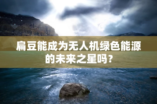 扁豆能成为无人机绿色能源的未来之星吗？