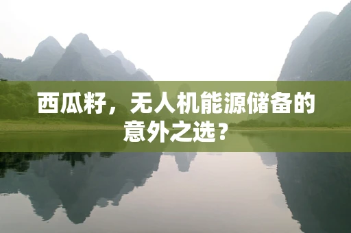 西瓜籽，无人机能源储备的意外之选？