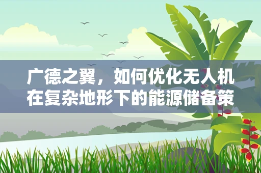广德之翼，如何优化无人机在复杂地形下的能源储备策略？