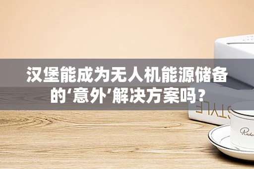 汉堡能成为无人机能源储备的‘意外’解决方案吗？