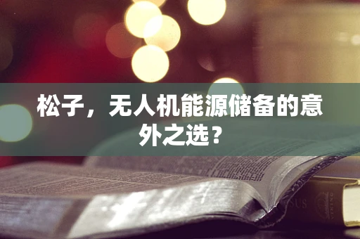 松子，无人机能源储备的意外之选？