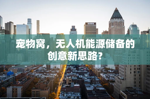 宠物窝，无人机能源储备的创意新思路？