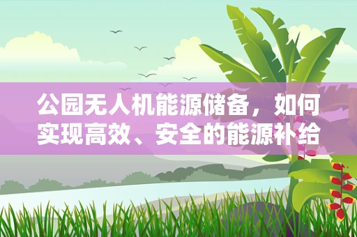 公园无人机能源储备，如何实现高效、安全的能源补给？