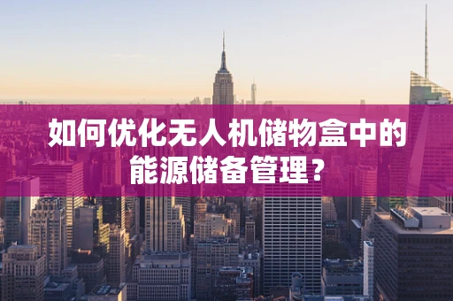 如何优化无人机储物盒中的能源储备管理？