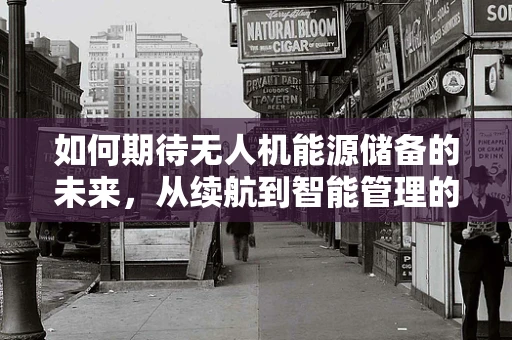如何期待无人机能源储备的未来，从续航到智能管理的飞跃？