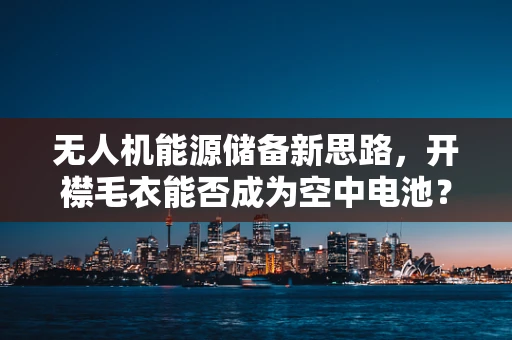 无人机能源储备新思路，开襟毛衣能否成为空中电池？