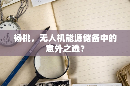 杨桃，无人机能源储备中的意外之选？