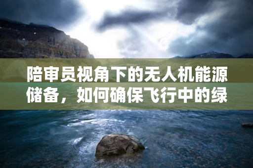 陪审员视角下的无人机能源储备，如何确保飞行中的绿色与安全？