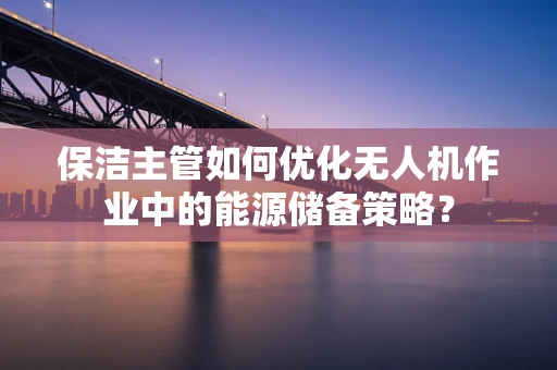 保洁主管如何优化无人机作业中的能源储备策略？