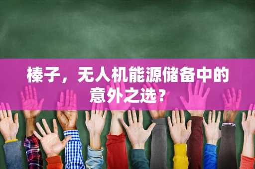 榛子，无人机能源储备中的意外之选？