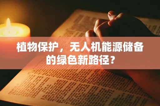 植物保护，无人机能源储备的绿色新路径？