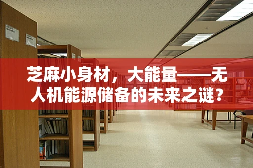 芝麻小身材，大能量——无人机能源储备的未来之谜？