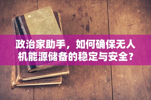 政治家助手，如何确保无人机能源储备的稳定与安全？