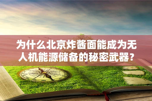 为什么北京炸酱面能成为无人机能源储备的秘密武器？
