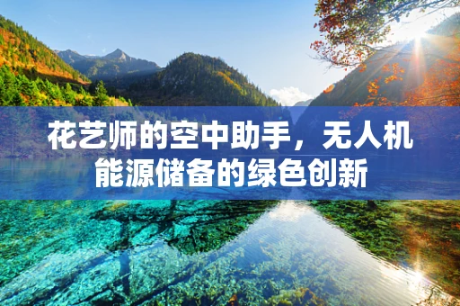 花艺师的空中助手，无人机能源储备的绿色创新