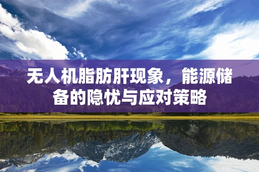 无人机脂肪肝现象，能源储备的隐忧与应对策略