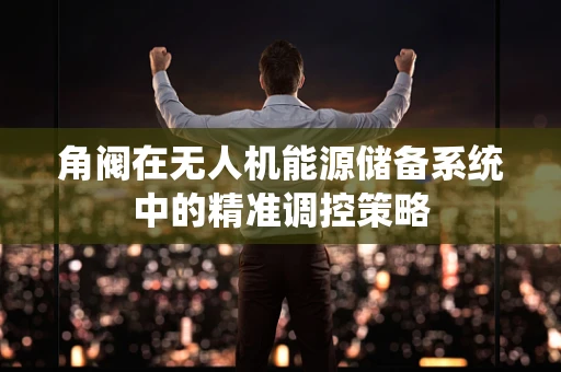 角阀在无人机能源储备系统中的精准调控策略