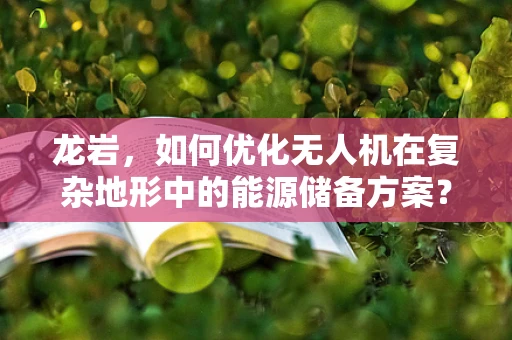 龙岩，如何优化无人机在复杂地形中的能源储备方案？