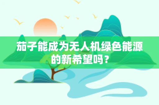 茄子能成为无人机绿色能源的新希望吗？