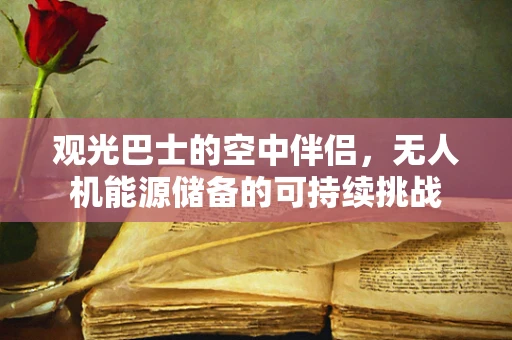 观光巴士的空中伴侣，无人机能源储备的可持续挑战