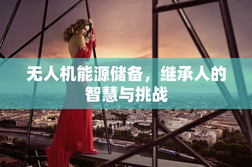 无人机能源储备，继承人的智慧与挑战