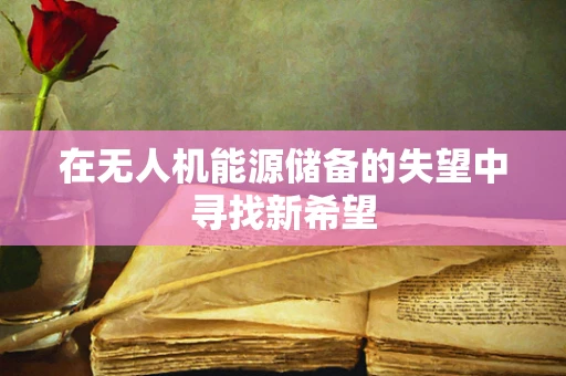 在无人机能源储备的失望中寻找新希望