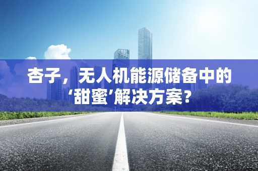 杏子，无人机能源储备中的‘甜蜜’解决方案？