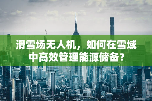 滑雪场无人机，如何在雪域中高效管理能源储备？