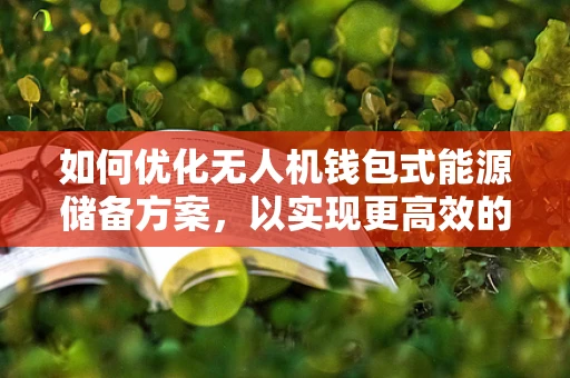 如何优化无人机钱包式能源储备方案，以实现更高效的飞行续航？