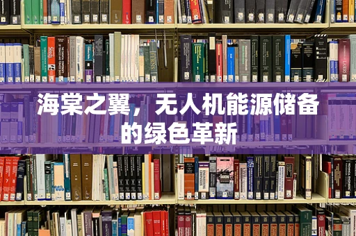 海棠之翼，无人机能源储备的绿色革新