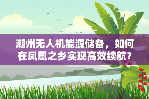 潮州无人机能源储备，如何在凤凰之乡实现高效续航？