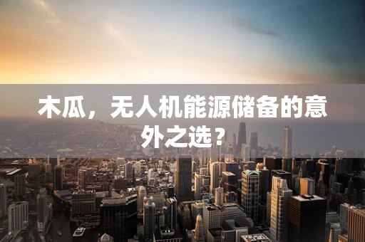 木瓜，无人机能源储备的意外之选？