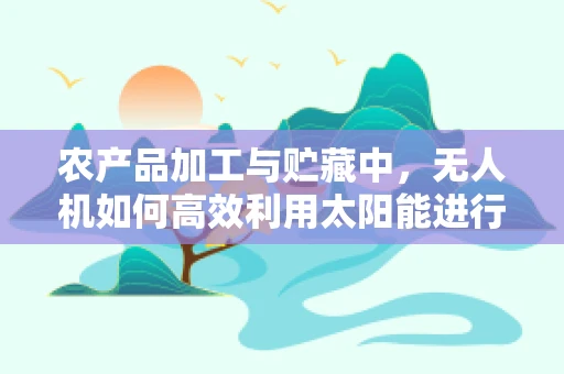 农产品加工与贮藏中，无人机如何高效利用太阳能进行能源储备？