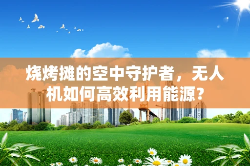 烧烤摊的空中守护者，无人机如何高效利用能源？